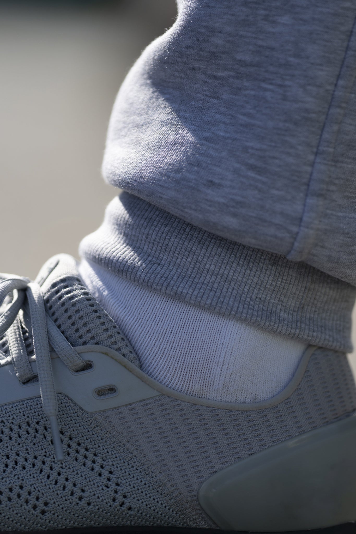 WJ Sports Joggers / Regular Fit